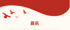 【主题教育·树典型】第4期 | 放射科、心血管内科党支部荣获市卫生健康委党委示范党支部称号