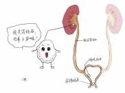 与尿路结石抗战八年，“幕后黑手”竟是甲状旁腺