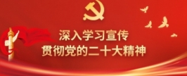 深入学习宣传贯彻党的二十大精神