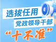 选拔任用党政领导干部“十不准”