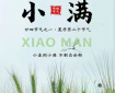【人医清风】节气说廉 | 小满未满，守廉守心